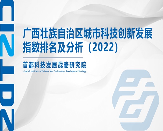 穴，乳，骚，插，摸，啊啊啊，马车【成果发布】广西壮族自治区城市科技创新发展指数排名及分析（2022）